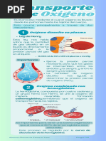 Transporte de oxígeno- gases