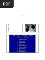 BARTONELLOSIS