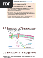 Lecture 2-Lipid metabolism