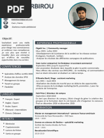 Etudiant Chercheur Artiste _ Curriculum Vitae (CV)_Malek_BARBIROU_cv_francais