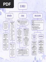 MAPA CONCEPTUAL DUELO