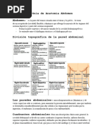 Guia de Anatomía Abdomen