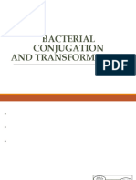 Microbiology 18 - Bacterial Conjugation and transformation