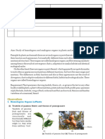 04.10.2024 CLASS-XII BIOLOGY PRACTICAL MATERIALS-11