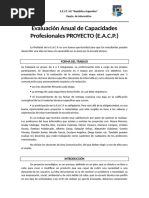 Evaluación Anual de Capacidades Profesionales 2024