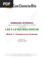 MÓDULO 3 Constelaciones Cerebrales