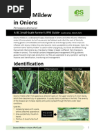 FI26 Downy Mildew Onions 2021 IPM Guide