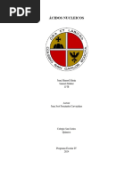 Ácidos nucleicos