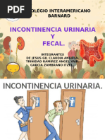 Incontinencia Urinaria Exposicion-1