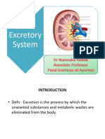 Renal System - Dr Narendra PDF