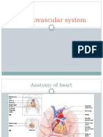 Cardiovascular System