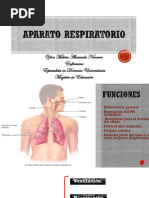 Aparato Respiratorio