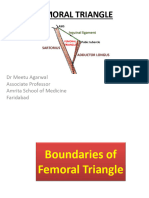 FEMORAL TRIANGLE