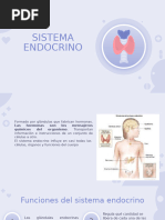 Sistema Endocrino Okok