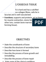 CARTILAGE AND BONE