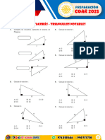 Semimario - Teorema de Pitagoras y Triangulos Notables