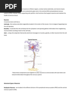 Cells of the Nervous System