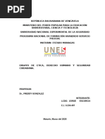 ENSAYO DE ETICA,DDHH Y SEGURIDAD CIUDADANA