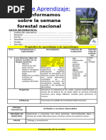 5º Grado Dia 5 Com. Nos Informamos Sobre La Semana Forestal Nacional