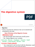 Introduction to Digestive System