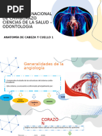 3.Generalidades de Angiología