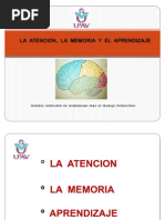 Equipo 1 Atencion, Memoria y Aprendizaje