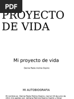 danna proyecto de vida