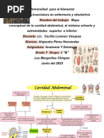 Alejandra Perez Hernandez 2 B Mapa Conceptuales