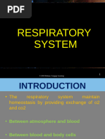 Anatomy pf Resp System