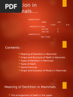 Dentition in Mammals