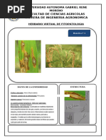 herbario virtual fitopatologia