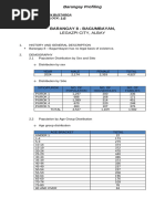 Barangay-Profiling-TEMPLATE (2)