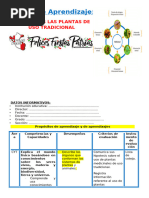 3° SESIÓN DÍA 4 CYT CONOCEMOS LAS PLANTAS DE USO TRADICIONAL