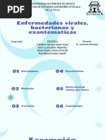 38. Enfermedades virales, bacterianas y exantemáticas