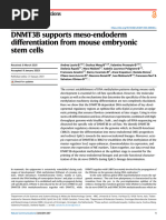 DNMT3B Supports Meso-Endoderm Differentiation From Mouse Embryonic Stem Cells