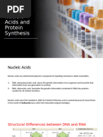 Nucleic Acids