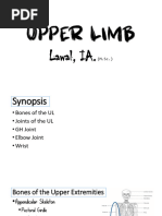 Upper Limb