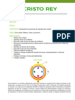 FE. Mitosis..docx