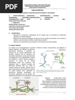 PR-C-AISLAMIENTO MOHOS Y LEVADURAS -IAGRO-24 (1)