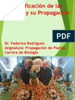 Tema 5. Clasificacion de las plantas por su impotancia