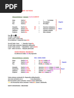 5- AVANCE DIA 5 (1)