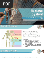 04 Skeletal System