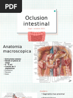 Oclusion Intestinal 