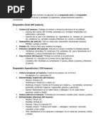 Los 206 huesos del cuerpo humano se agrupan en el esqueleto axial y el esqueleto apendicular, que estructuran y protegen al organismo, proporcionando soporte y movimiento