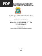 Laboratorio - reconocimiento del fe Cu en minerales xxx