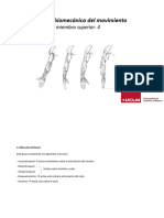 Tema 7.4 Anatomia Miembro superior 4