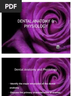 Dental Anatomy