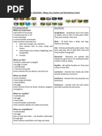 Year 1 Spring a Wings Fins Feathers and Tails Knowledge Organiser