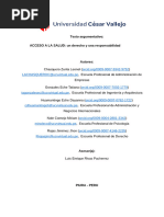 Texto Argumentativo Constitución