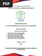 PLAN DE SESION EDUCATIVA - HIPERTENSION CEREBRAL